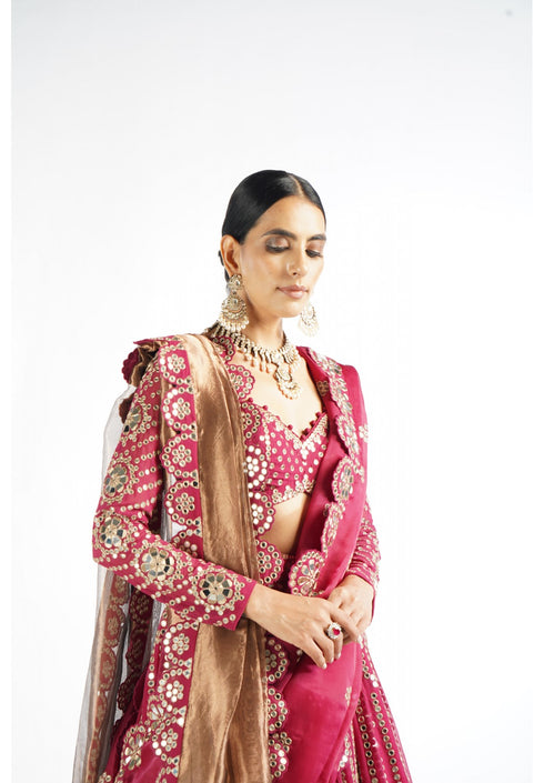Mellow Wine Small Flower Linear Lehenga Set